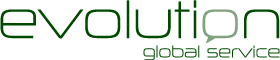 Evolution Global Service Logo